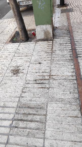 Emulisan s a en sanlúcar 1 Servicios de limpieza Emulisan S A