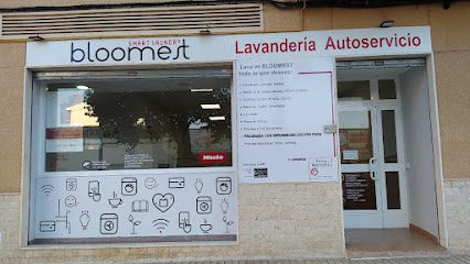 Lavandería autoservicio bloomest en sax en sax 1 Servicios de limpieza Lavandería Autoservicio Bloomest en Sax