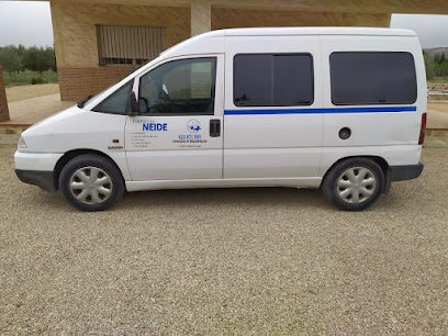Limpieza neide en caudete 1 Servicios de limpieza Limpieza neide