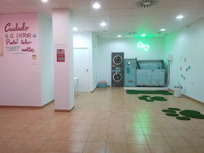 Masconet i més en puebla 1 Servicios de limpieza Masconet i més