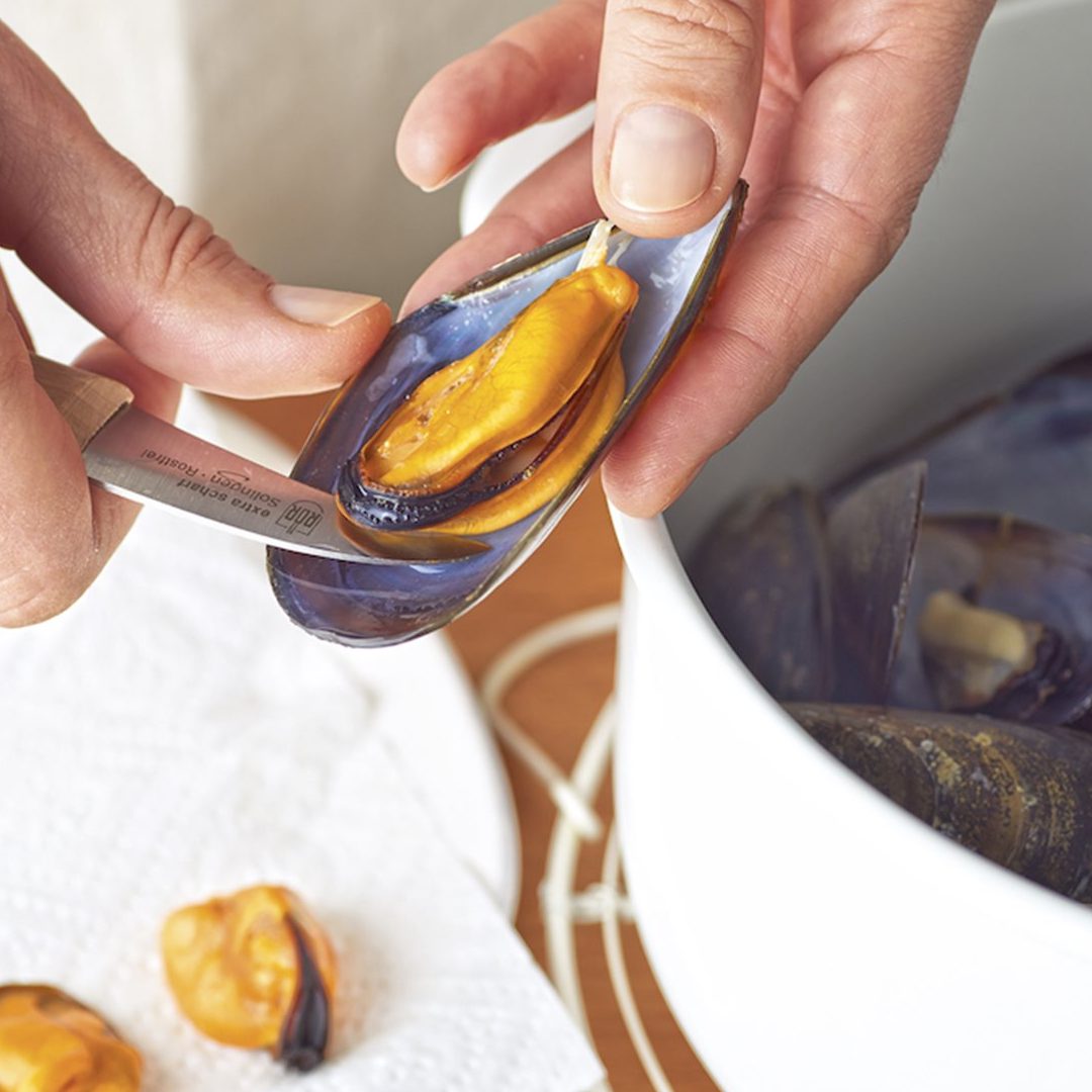 Cómo limpiar mejillones de forma sencilla y rápida 1 como limpiar mejillones de forma sencilla y rapida