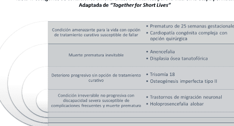 Consejos de limpieza para convivir con una persona enferma: ¡mantén tu casa impecable sin afectar su salud! 1 consejos de limpieza para convivir con una persona enferma manten tu casa impecable sin afectar su salud
