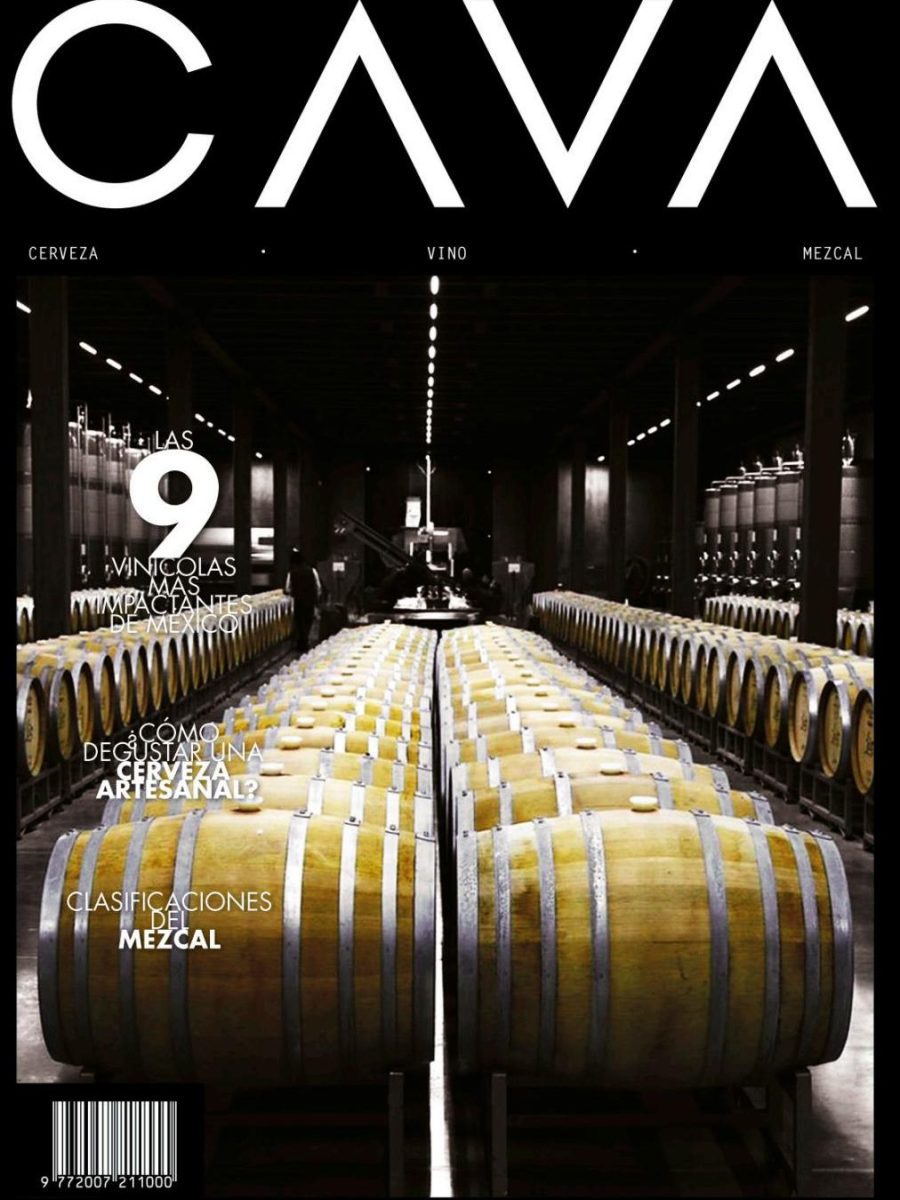 Guía de limpieza del barril de cerveza: ¡descubre cómo cuidar su interior! 1 guia de limpieza del barril de cerveza descubre como cuidar su interior